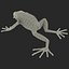 Mantella Frog Pose 3 3D Model