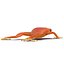 Mantella Frog Pose 3 3D Model
