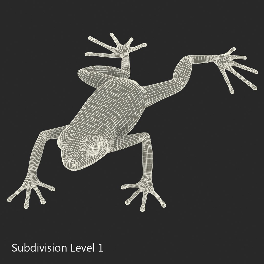 mantella frog pose 3 3d model https://p.turbosquid.com/ts-thumb/xi/xvL60f/SvooDfpM/3dmodelofmantellafrog21/jpg/1452519331/1920x1080/fit_q87/fd617dee9588a8e838a78ba21b92cc1d33401184/3dmodelofmantellafrog21.jpg