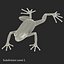 Mantella Frog Pose 3 3D Model