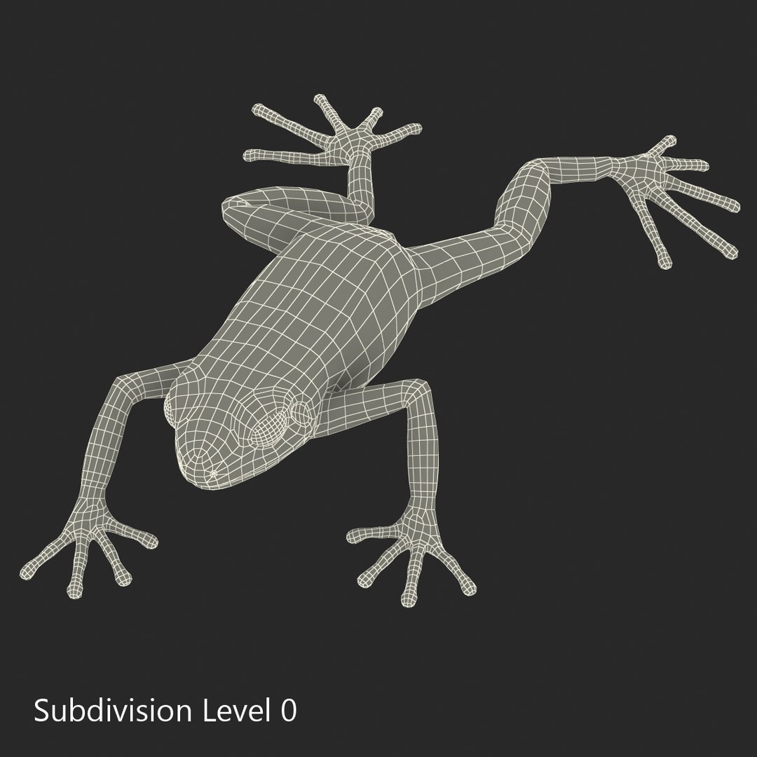 mantella frog pose 3 3d model https://p.turbosquid.com/ts-thumb/xi/xvL60f/TCt4AzbP/3dmodelofmantellafrog20/jpg/1452519331/1920x1080/fit_q87/fcdb25ca6123f834e03d301dc1fe57f0d949fd39/3dmodelofmantellafrog20.jpg