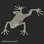 Mantella Frog Pose 3 3D Model