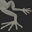 Mantella Frog Pose 3 3D Model