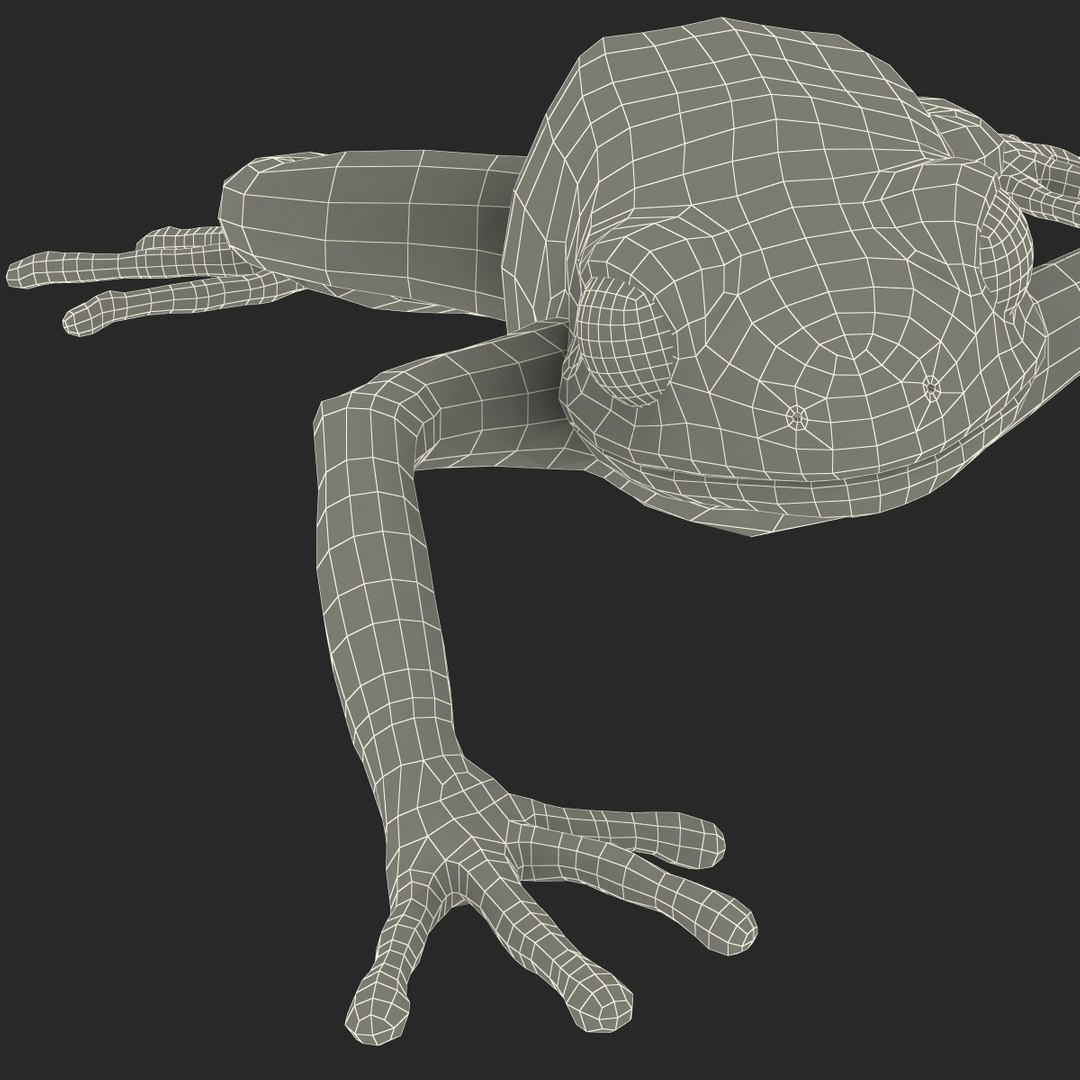 mantella frog pose 3 3d model https://p.turbosquid.com/ts-thumb/xi/xvL60f/UkVfeD71/3dmodelofmantellafrog32/jpg/1452519332/1920x1080/fit_q87/c02faf0c5f145370c108eec54200fe5f10f621a3/3dmodelofmantellafrog32.jpg