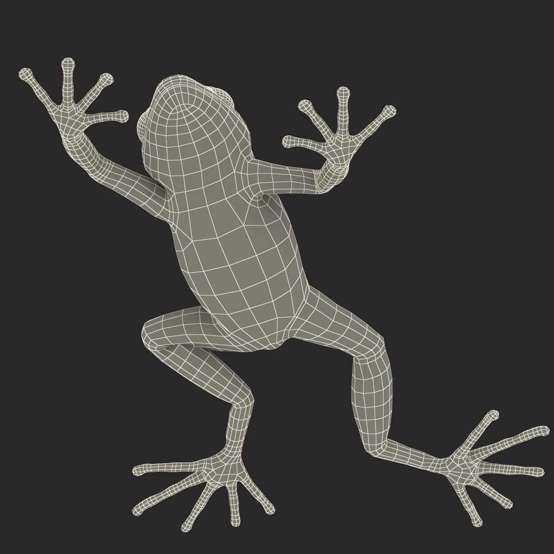 mantella frog pose 3 3d model https://p.turbosquid.com/ts-thumb/xi/xvL60f/XW9ekr9b/3dmodelofmantellafrog30/jpg/1452519332/1920x1080/fit_q87/a7d15025613777ffabbd7d1d33418ca11559f631/3dmodelofmantellafrog30.jpg