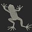 Mantella Frog Pose 3 3D Model