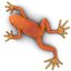 Mantella Frog Pose 3 3D Model