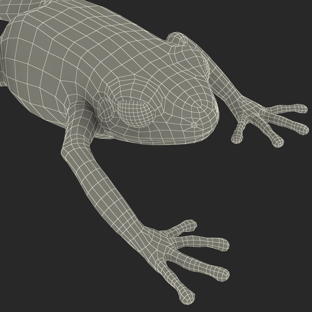 mantella frog pose 3 3d model https://p.turbosquid.com/ts-thumb/xi/xvL60f/c8oDf5Ys/3dmodelofmantellafrog31/jpg/1452519332/1920x1080/fit_q87/dc3d45c5b481d28a73e52742d1e8a67787465f16/3dmodelofmantellafrog31.jpg