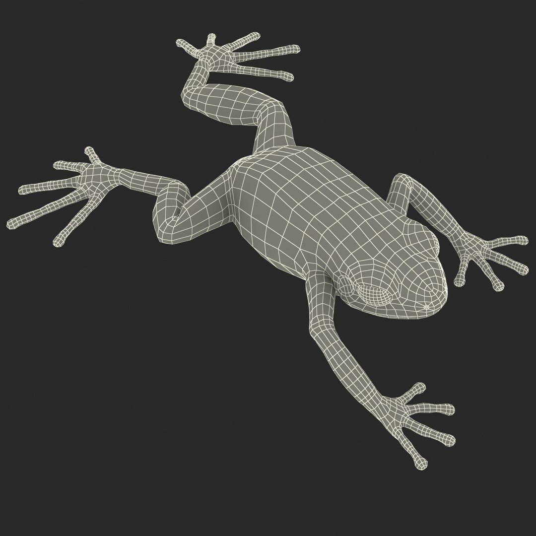 mantella frog pose 3 3d model https://p.turbosquid.com/ts-thumb/xi/xvL60f/seuEArQ2/3dmodelofmantellafrog26/jpg/1452519332/1920x1080/fit_q87/215f390fcc859394a4b16ea7368c5e2a122156f7/3dmodelofmantellafrog26.jpg
