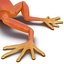 Mantella Frog Pose 3 3D Model