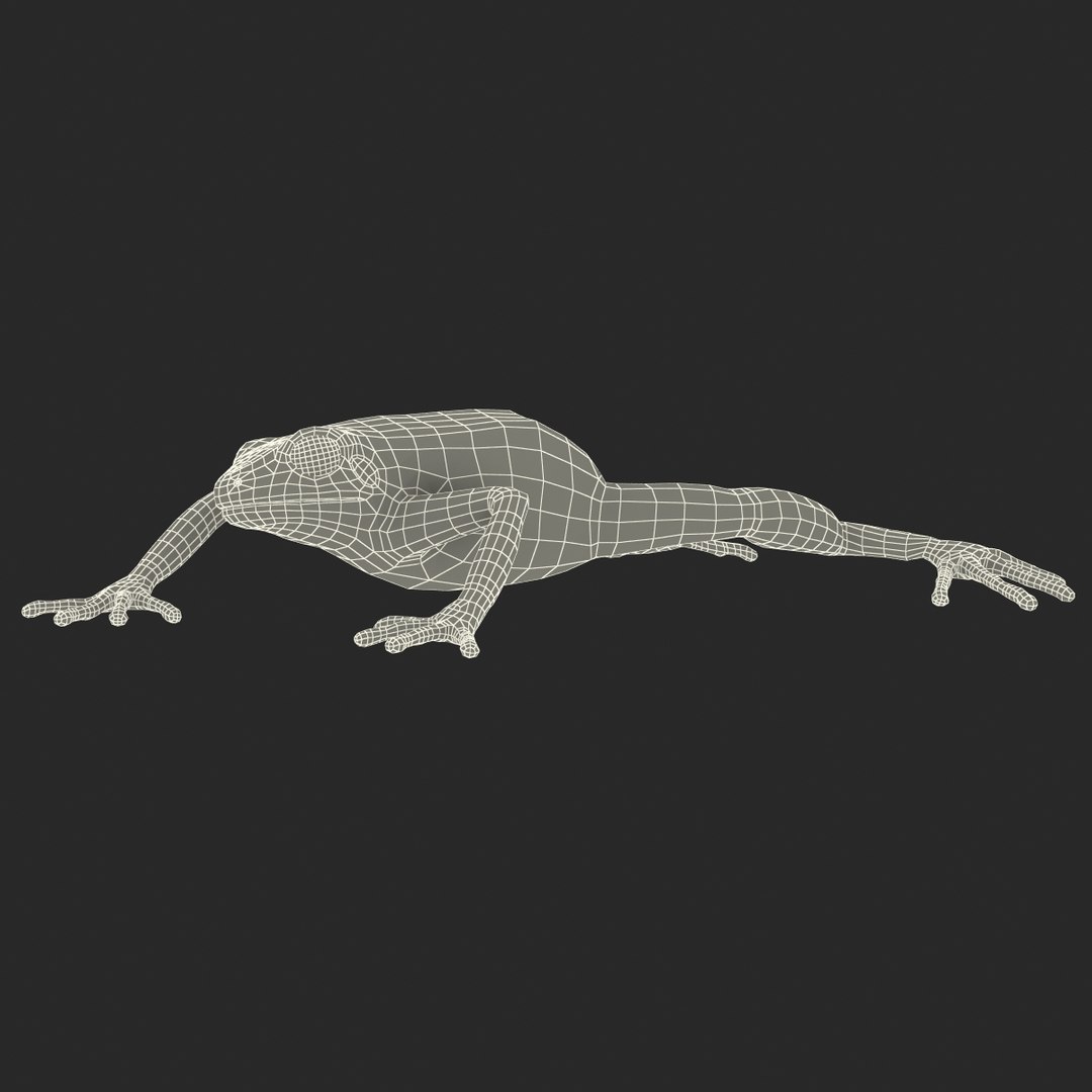 mantella frog pose 3 3d model https://p.turbosquid.com/ts-thumb/xi/xvL60f/uy8JwHrG/3dmodelofmantellafrog28/jpg/1452519332/1920x1080/fit_q87/db856fc2620e5bd1ad573accb98c13862c6813a0/3dmodelofmantellafrog28.jpg