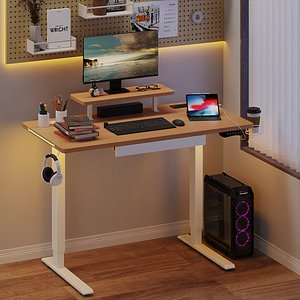 Modern Gaming Workspace with Electric Sit Stand Desk Study Room 3D Scene