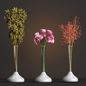 3D indoor plants collection vol 26