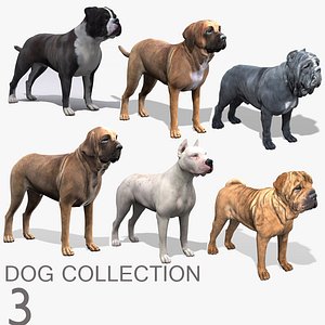 Dog Collection (3)