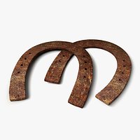 Old Horseshoes