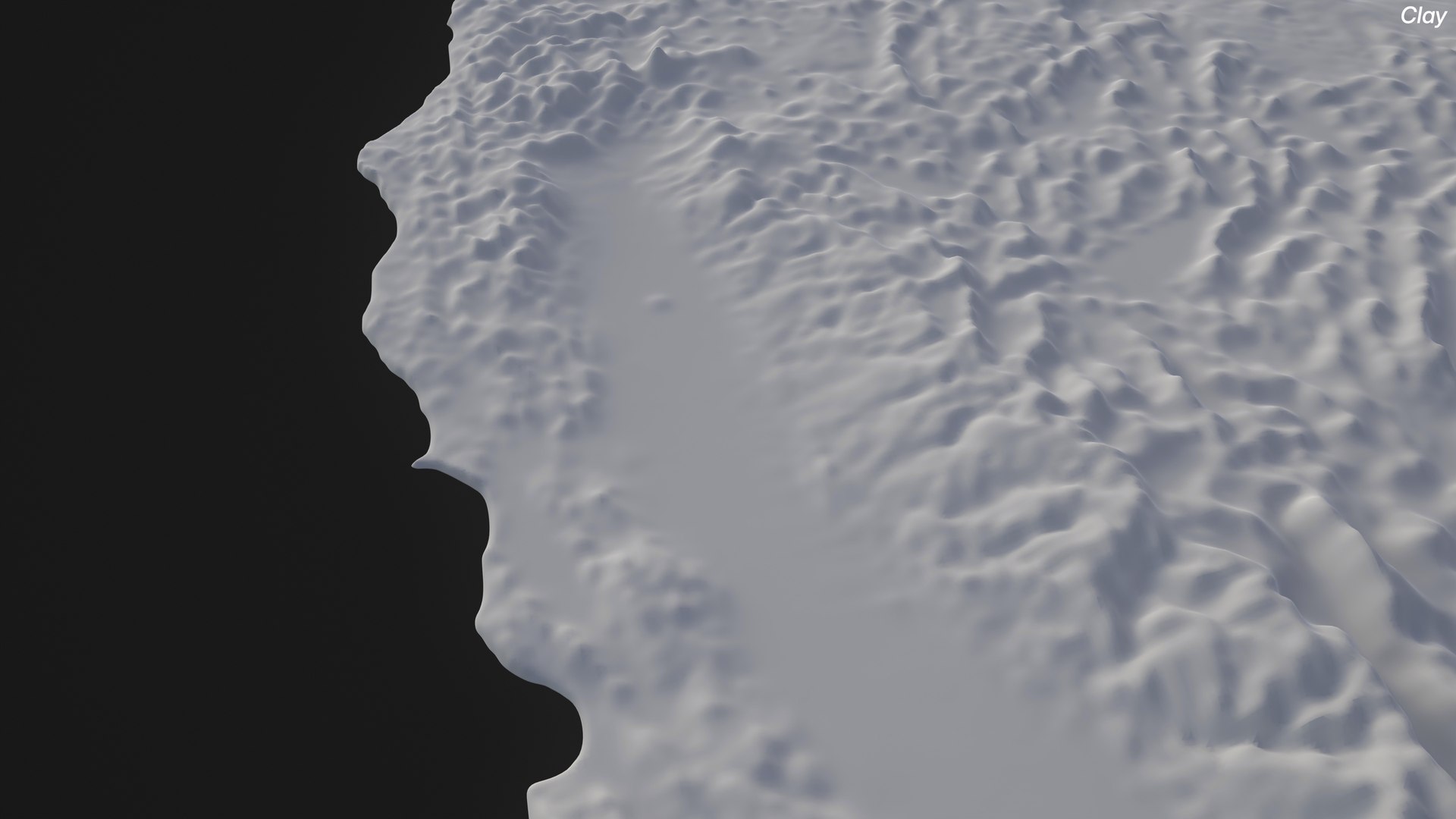 3D model USA country administrative relief topo map https://p.turbosquid.com/ts-thumb/xj/FTh3Iq/ie/x3/jpg/1768905488/1920x1080/fit_q87/8baf3a1df16b6079d905ed128f00bd984ee8cd71/x3.jpg