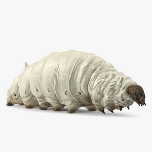 3D Silkworm White Fur