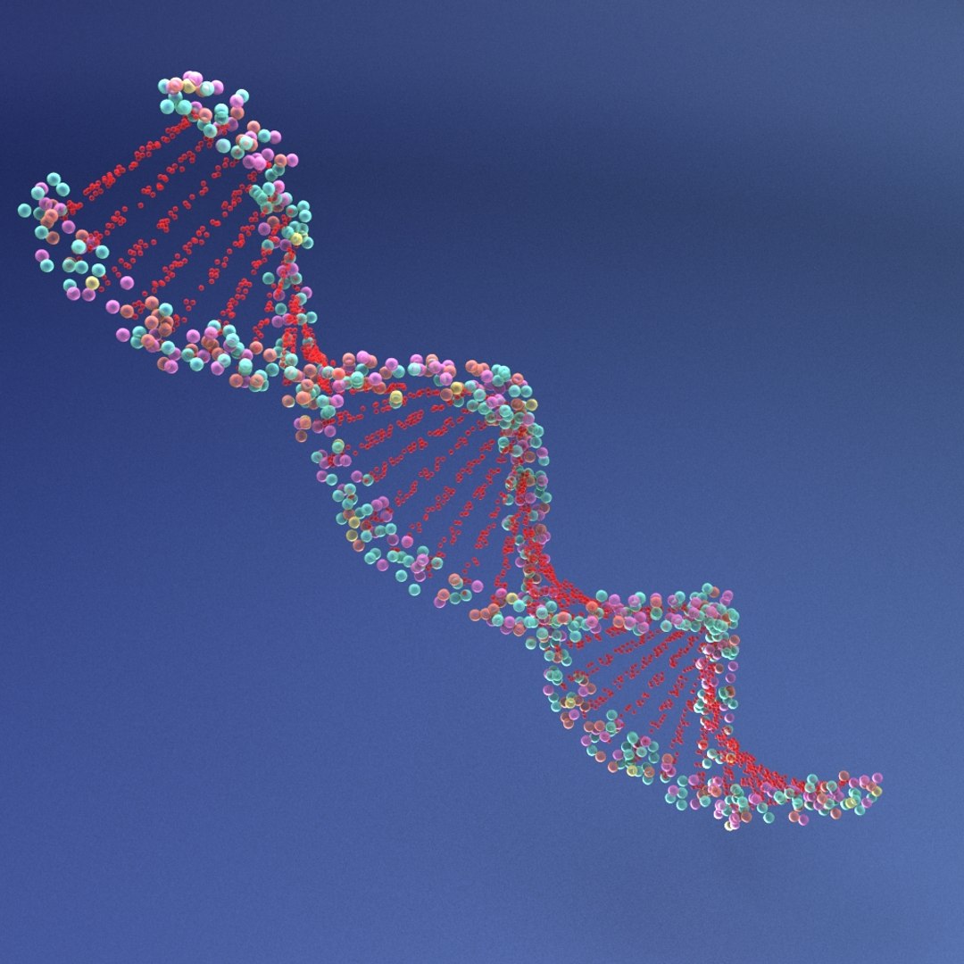 3d Dna