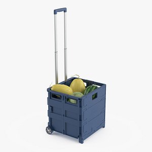 Portable Cart Case with Melons and Watermelons