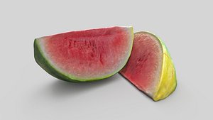 slice tropical 3D model