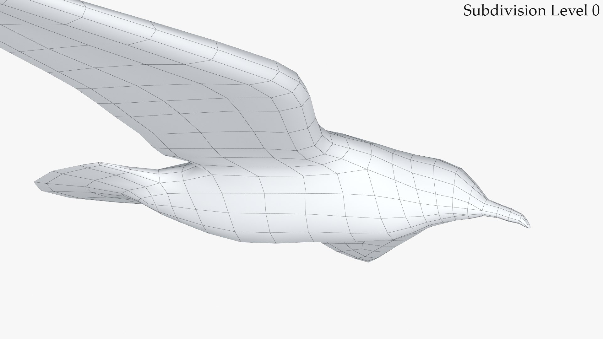 jonathan livingston version 3 3D model https://p.turbosquid.com/ts-thumb/xj/htlYPg/0t/3_seagull_c04_sds0_wire/jpg/1607947233/1920x1080/fit_q87/0310c8fcdbcd73b55c6e8d0c7deb3beb8624dbae/3_seagull_c04_sds0_wire.jpg