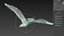 Seagull Jonathan Livingston Version 3