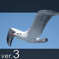 Seagull Jonathan Livingston Version 3