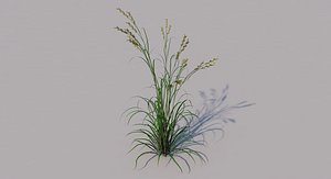 soft brome 3D model