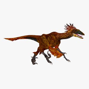 Feathered Dinosaur Deinonychus Antirrhopus