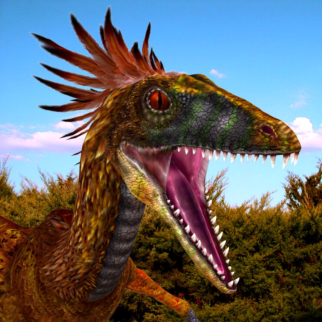 Deinonychus Antirrhopus Feathered Dinosaur C4d