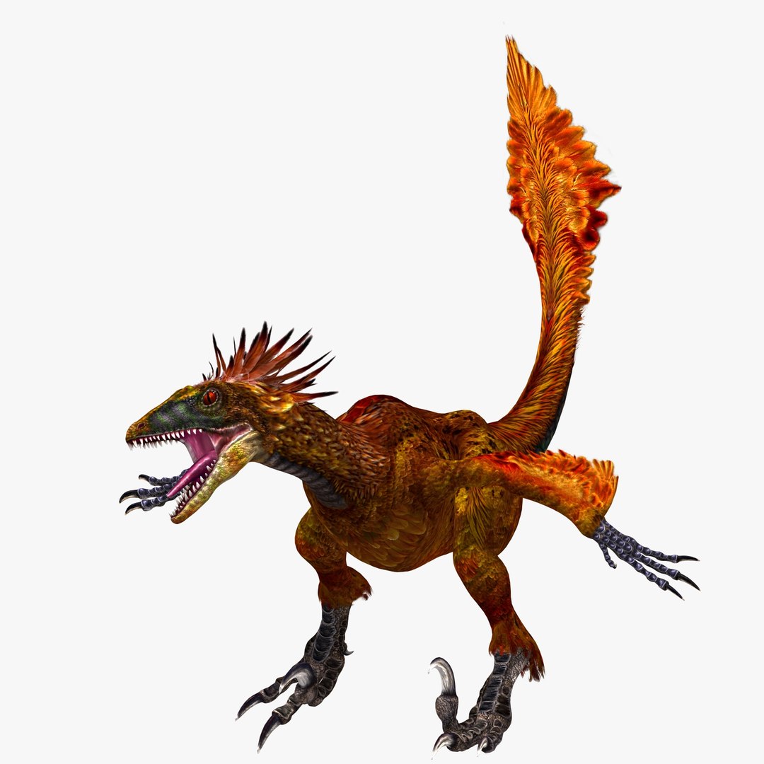 Reconstruction of a feathered Deinonychus antirrhopus. The morphology