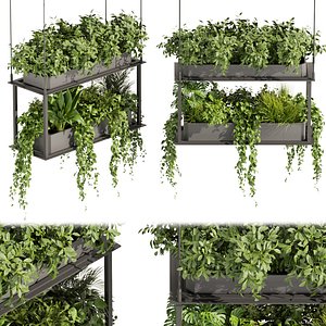 Collection plant vol 470 - hanging - palm - pothos - ampelous - 3dsmax - cinema 4d