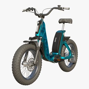 Modern Fat Tire Bicycle