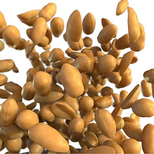 Roasted Peanuts