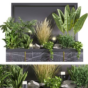 3D Collection plant vol 438 - indoor - banana - stone - pine - 3dsmax - cinema 4d