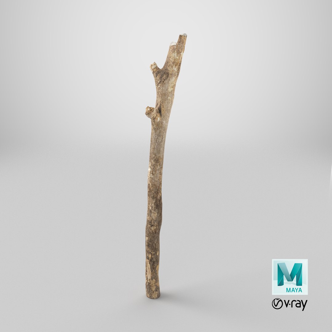 3D model Scanned Sprig 10 StemCell https://p.turbosquid.com/ts-thumb/xk/LvBITD/oj/stemcell_maya_vray_render/png/1745839182/1920x1080/fit_q87/7570f47fdb376ee859c64dbdf3f41add441a6de9/stemcell_maya_vray_render.jpg