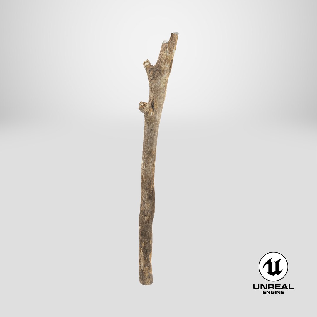 3D model Scanned Sprig 10 StemCell https://p.turbosquid.com/ts-thumb/xk/LvBITD/uG/stemcell_unreal_render/png/1745839190/1920x1080/fit_q87/0f315e0f015f2ed24707be9ce75f443d42431901/stemcell_unreal_render.jpg