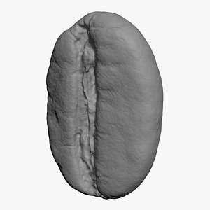 Coffee Bean 03 3D Print model