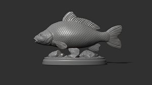 3D Carp fish on the base model