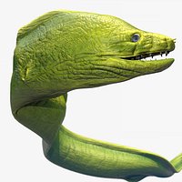 Moray Eel - Rigged