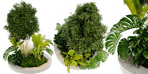 3D Collection plant vol 434 - blender model model