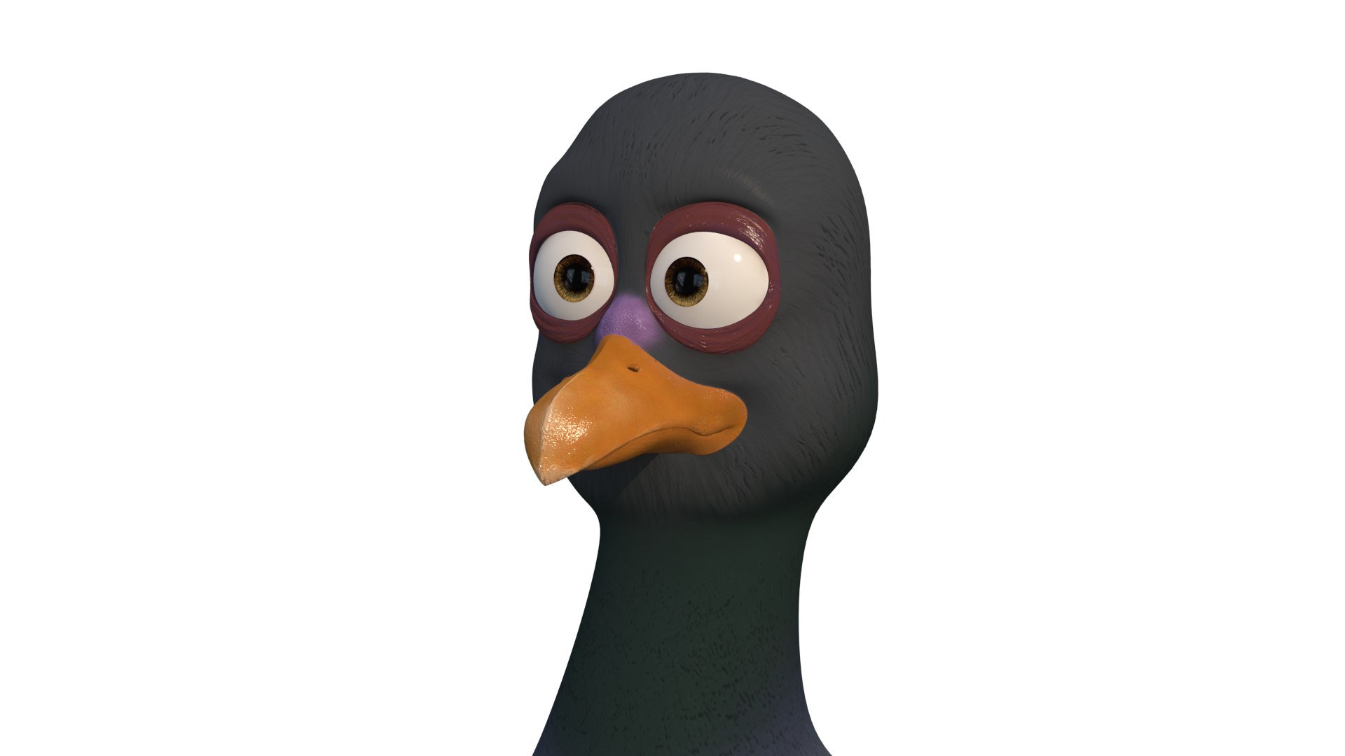 Pigeon 3D Model - TurboSquid 1367116