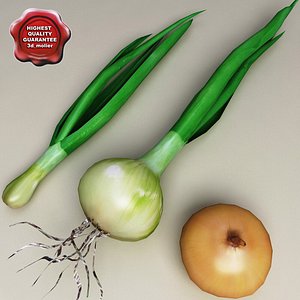 3d model onions set modelled