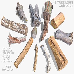 13 logs 3D