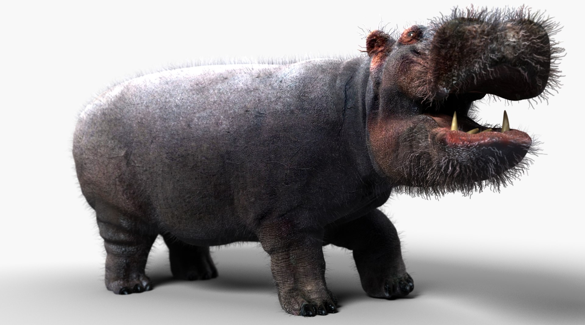 Max Hippopotamus Hippo
