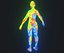 Mapa de calor de imagen térmica humana Modelo 3D masculino y femenino