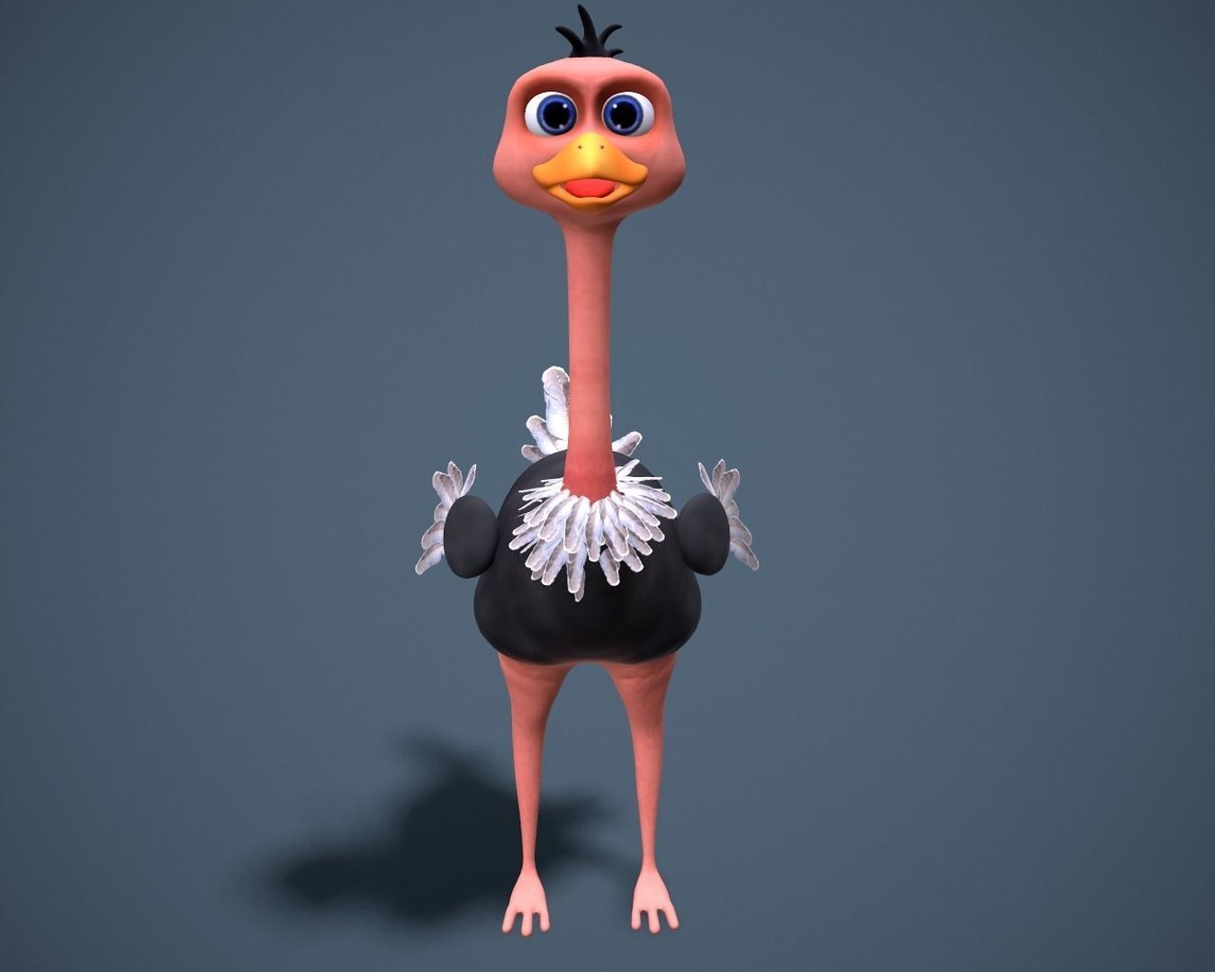 Cartoon oistrich 3D model - TurboSquid 1812641