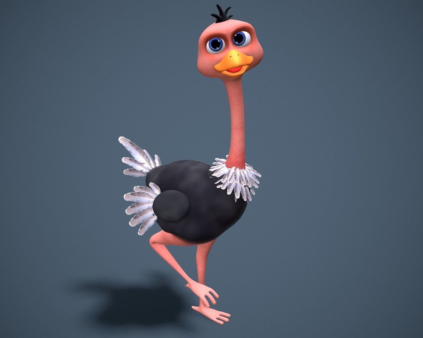 Cartoon Oistrich 3d Model - Turbosquid 1812641