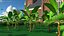 banana trees 3D