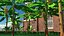 banana trees 3D